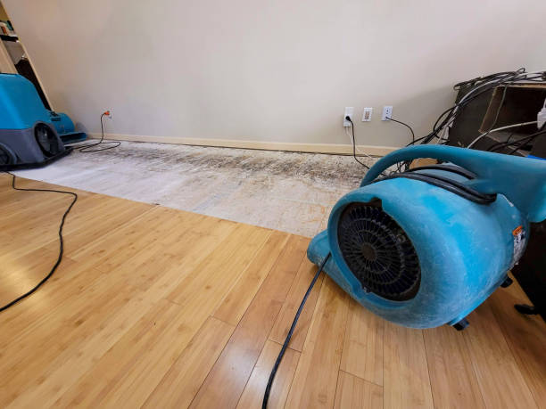 Professional Basement Flood Cleanup technician working in Orting, WA